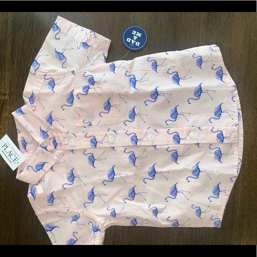 Button Down Flamingos Boy Shirt